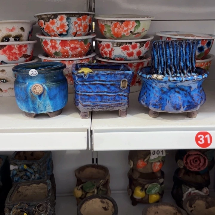 白****内口8-12我左右左右