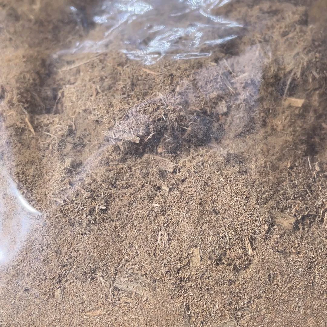 沉香沉香碎屑文莱黑棋勾丝174克含袋子