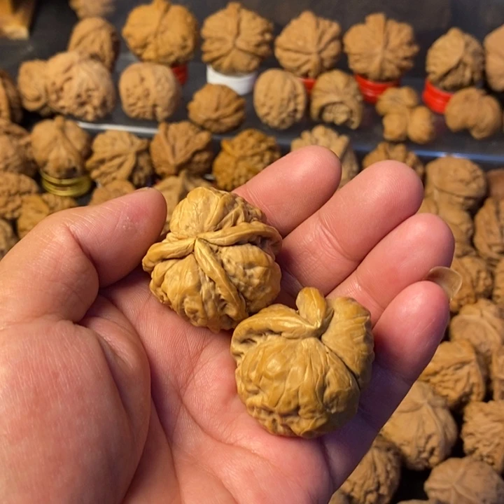 久***念大叶紫檀（黑酸枝木类）