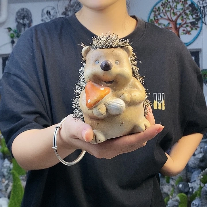 树脂q qu ok tu z y yww