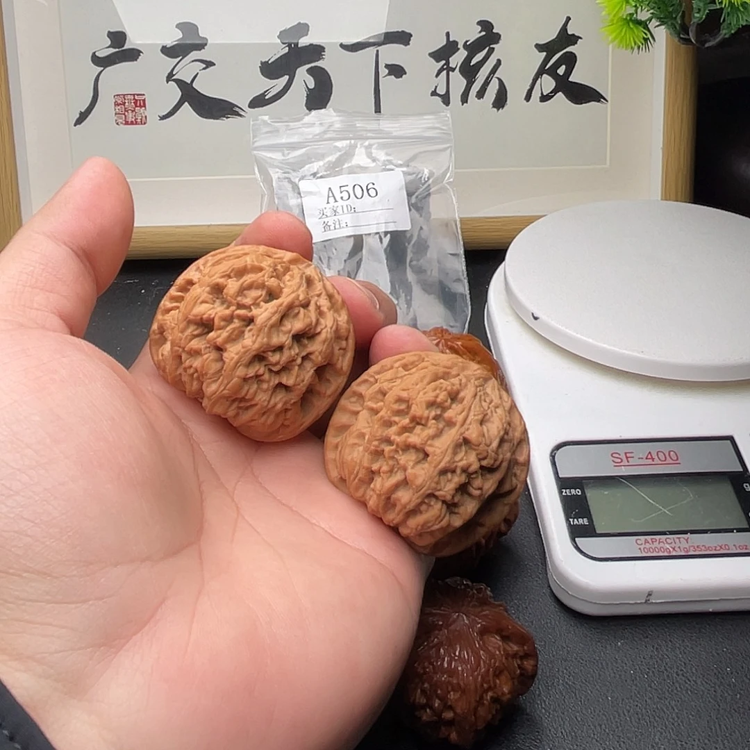 用***0核桃A506粗筋46尺水尖
