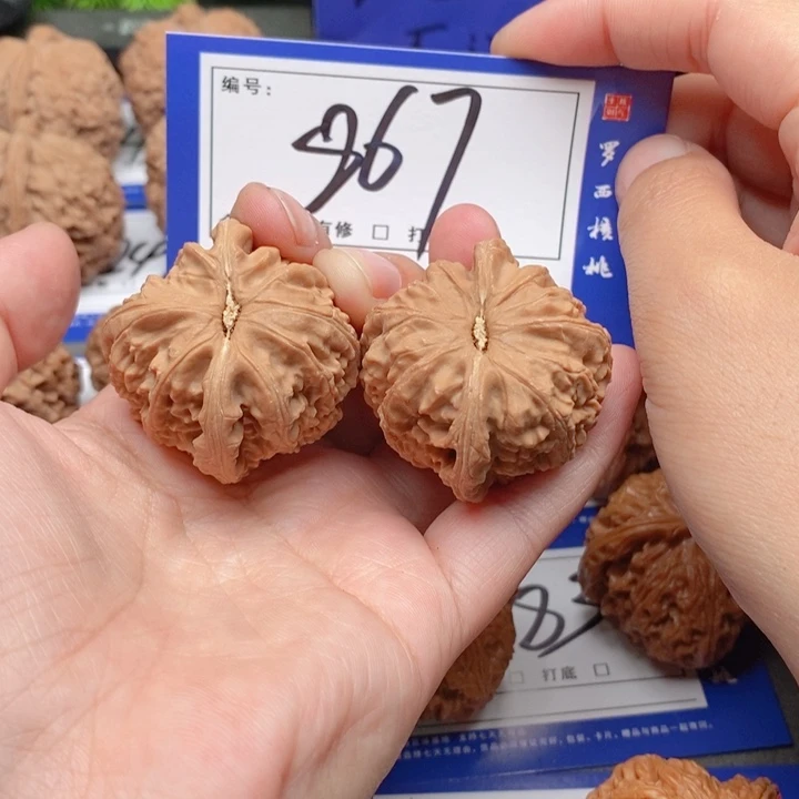 把件桃核37全品白狮子867号牌
