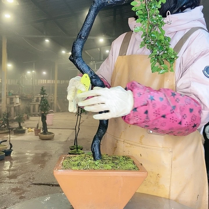 鹰*、你的电话打不通啊你是我最