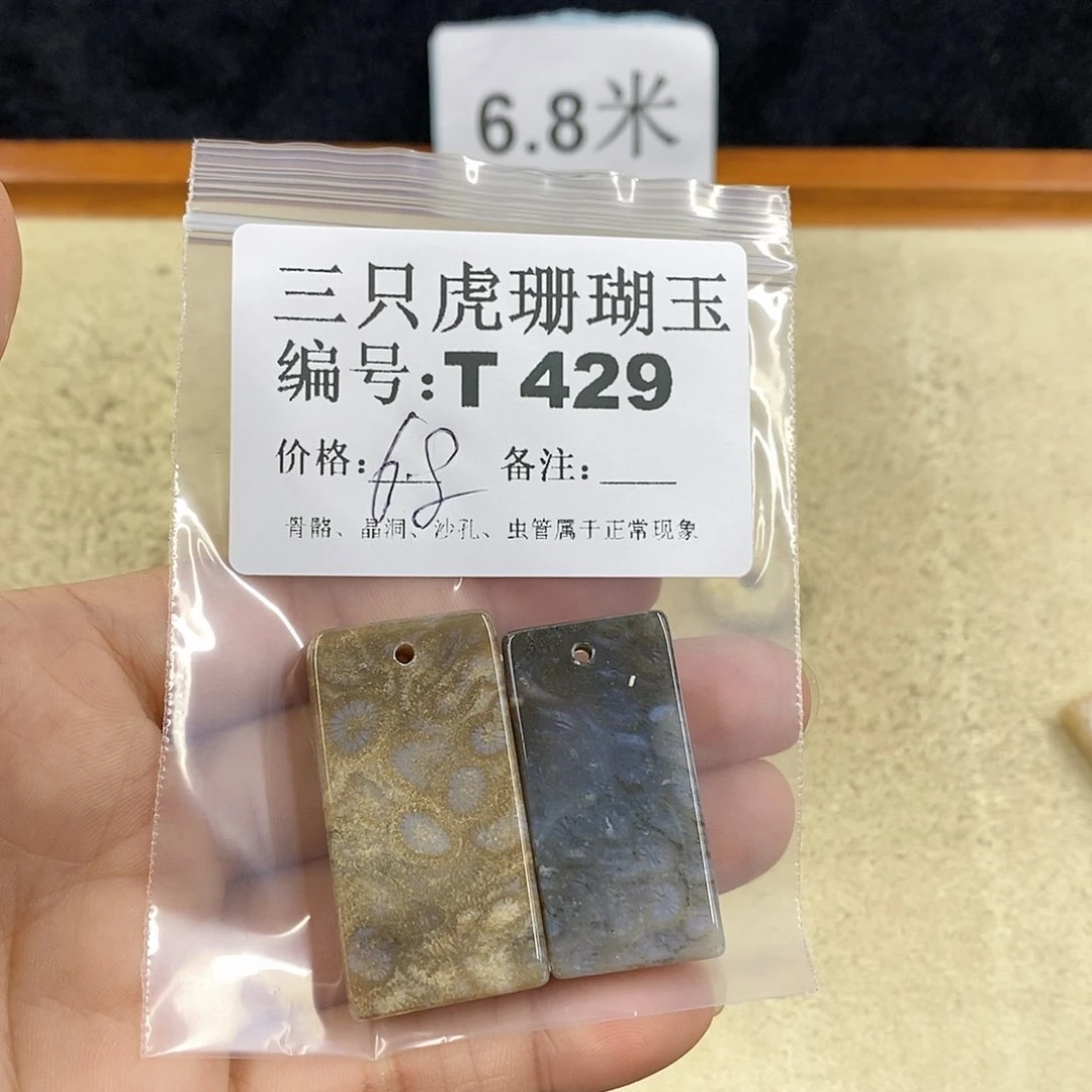 硅化珊瑚（珊瑚玉）1未镶嵌飘