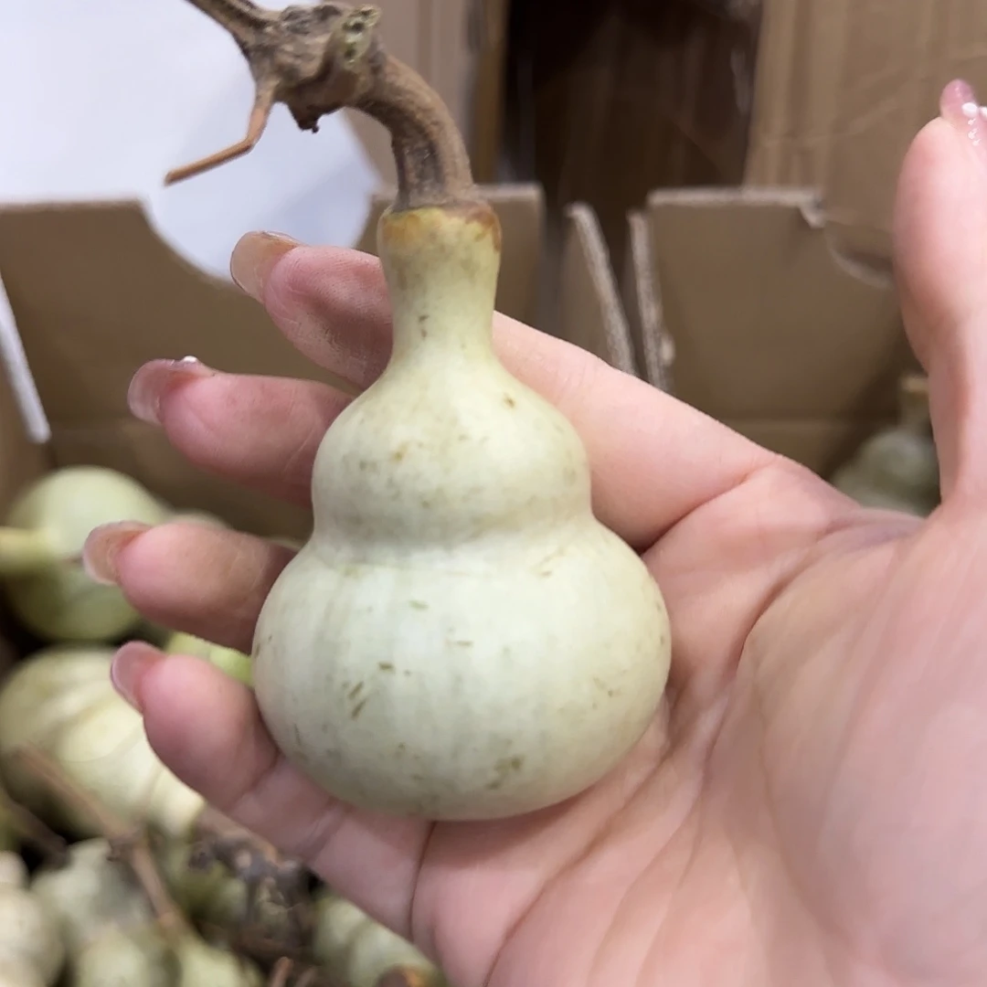 刘***哥葫芦刚结婚发过火机场接机