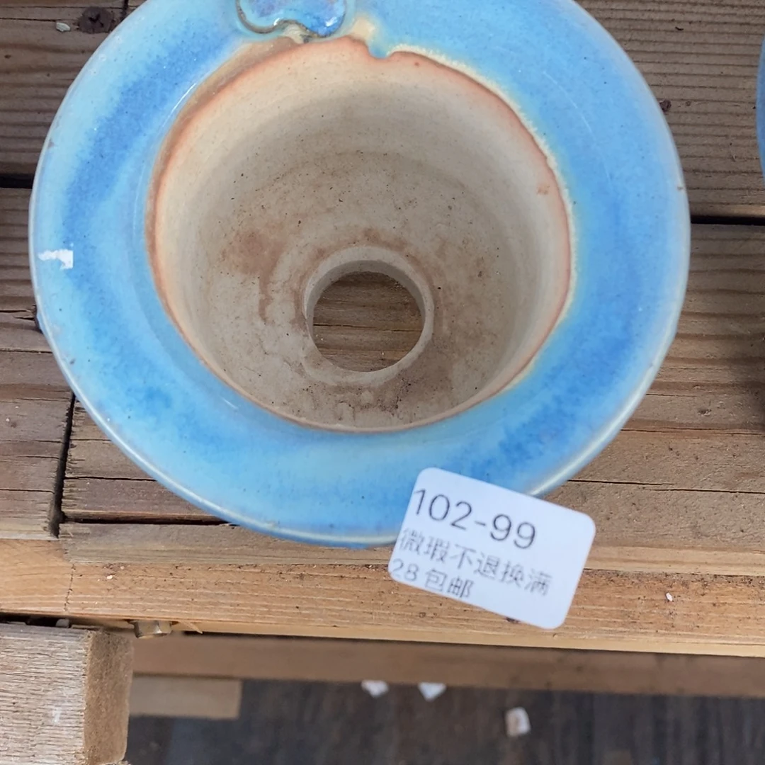 99号多肉盆口径8呀