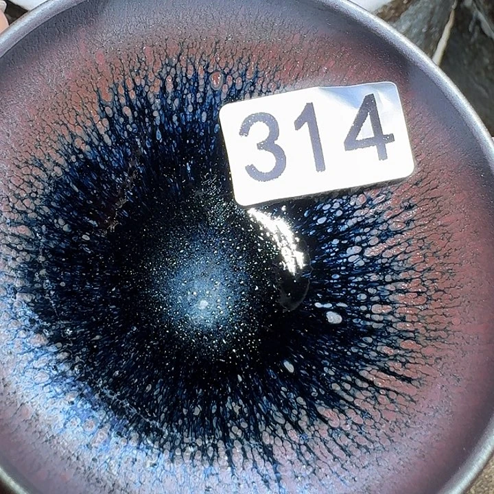 茶盏提出解决农村留守学生入学面临