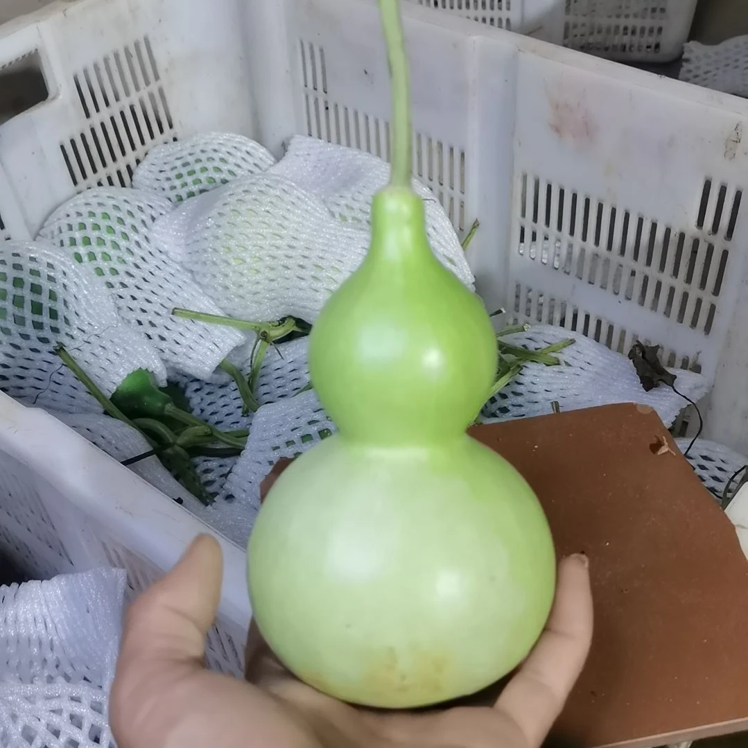 壶***道木葫芦摆件家庭摆件