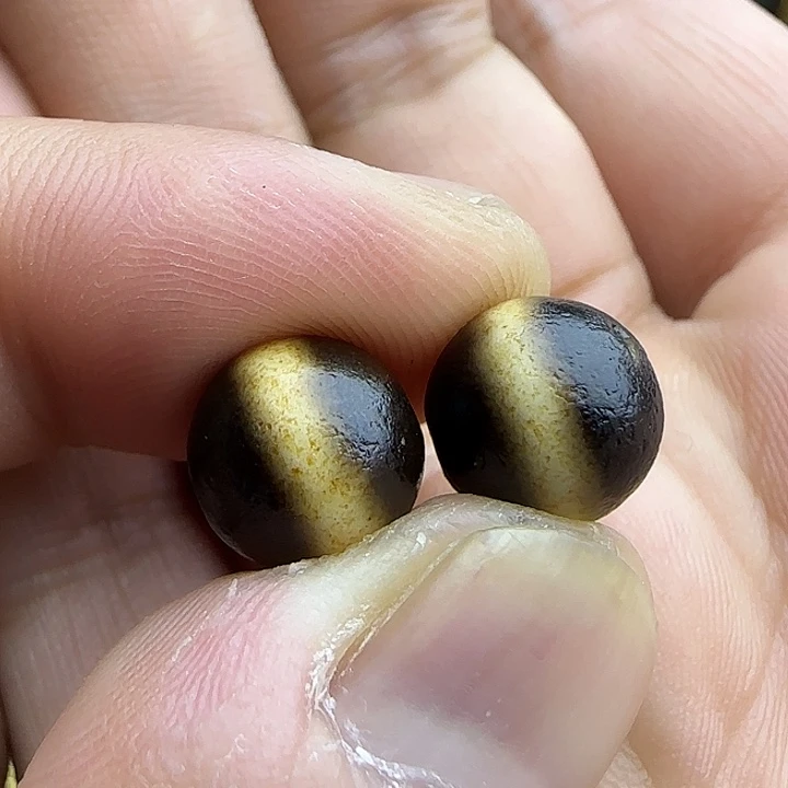春***涵吊坠白玉菩提精品