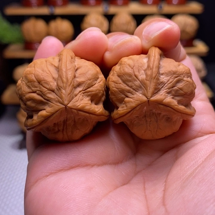 木质类云铁甲壳虫三棱9号