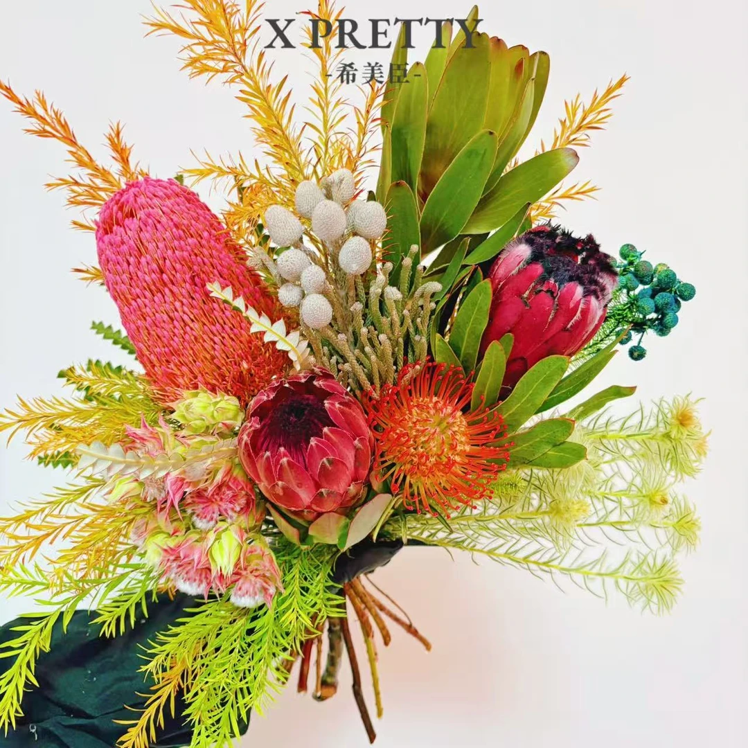 【莫奈】南非进口花 高档手捧花可做干花 花园 庭院 耐热 懒人 室外