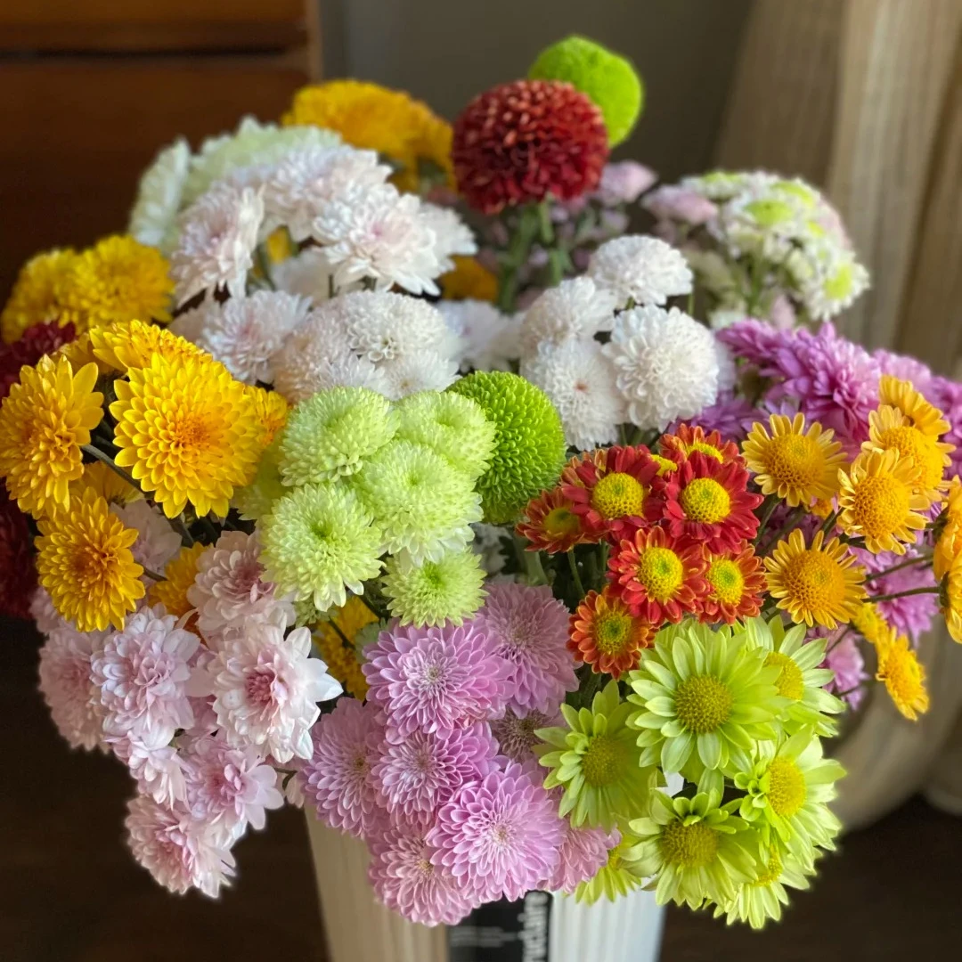 【混色七彩小菊10支】云南鲜花全场鲜花任意两单升级顺丰送上门