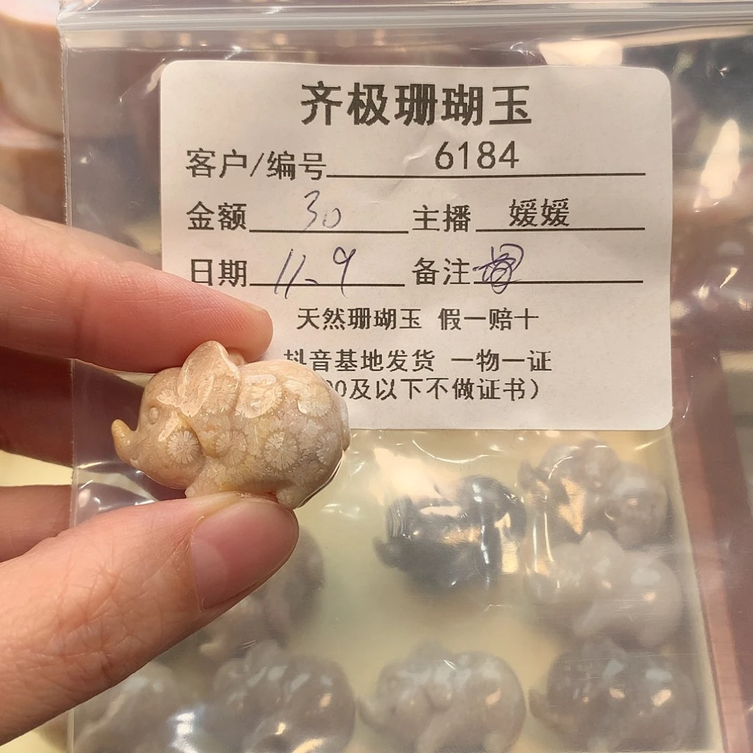 颈饰未镶嵌硅化珊瑚（珊瑚玉）5****9