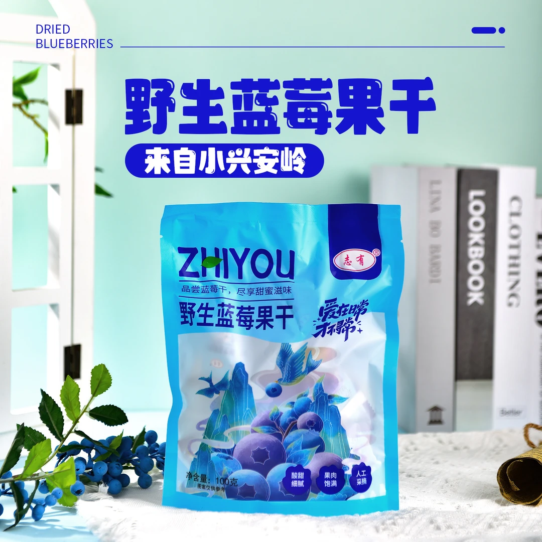 志有野生蓝莓果干100g*5袋蜜饯零食独立包装zht