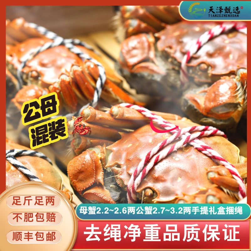 【巨无霸】母蟹2.2~2.6两/公蟹2.7~3.2两10/16只装香草捆绳礼盒装