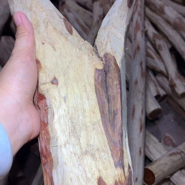 花梨木类海南黄花梨