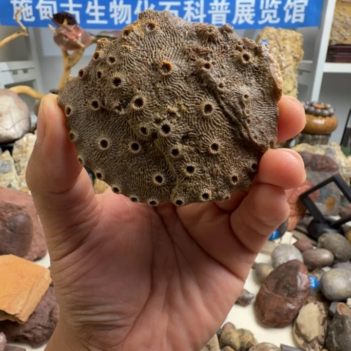玉家居摆件家居标本