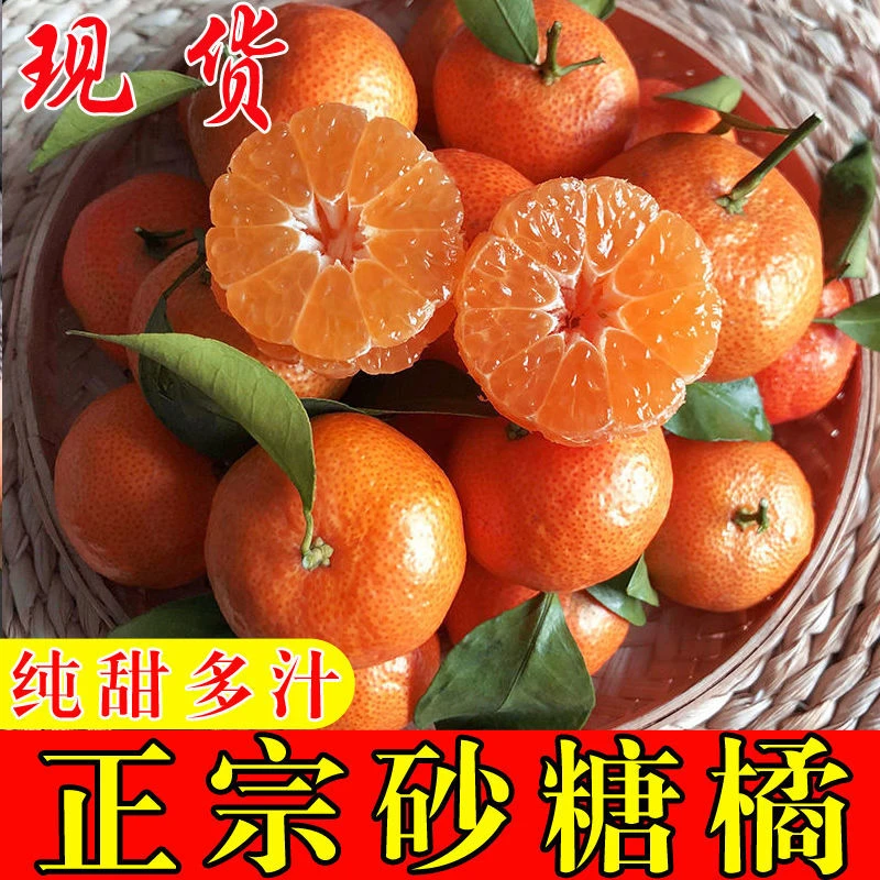 正宗广西砂糖橘【顺丰包邮】应季水果现摘现发爆甜多汁