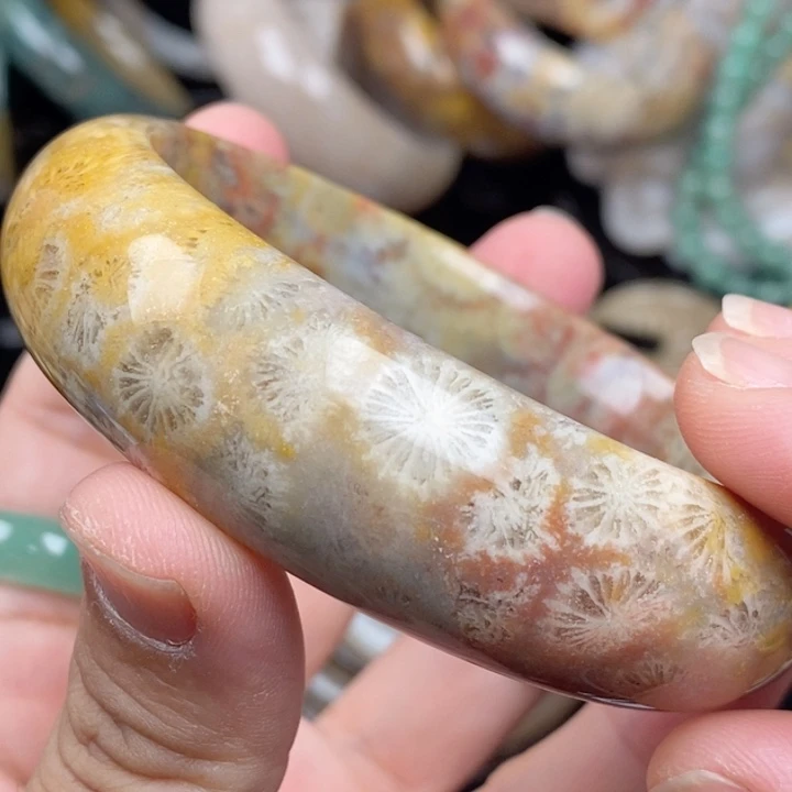 未镶嵌手镯（圆镯）硅化玉63