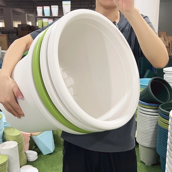 特价9号四季口46高40白色无托4只