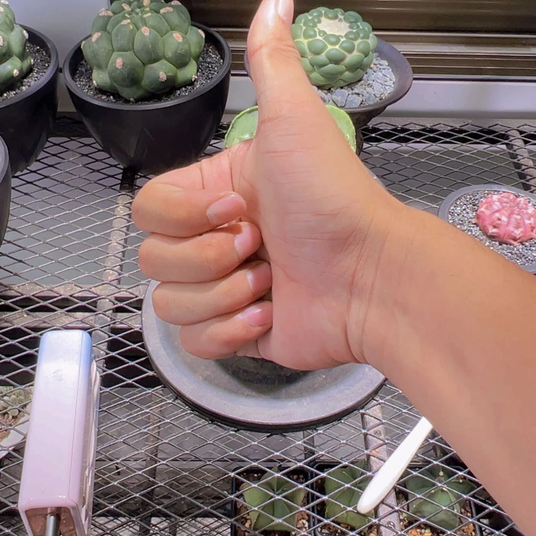 S****i11111111111111