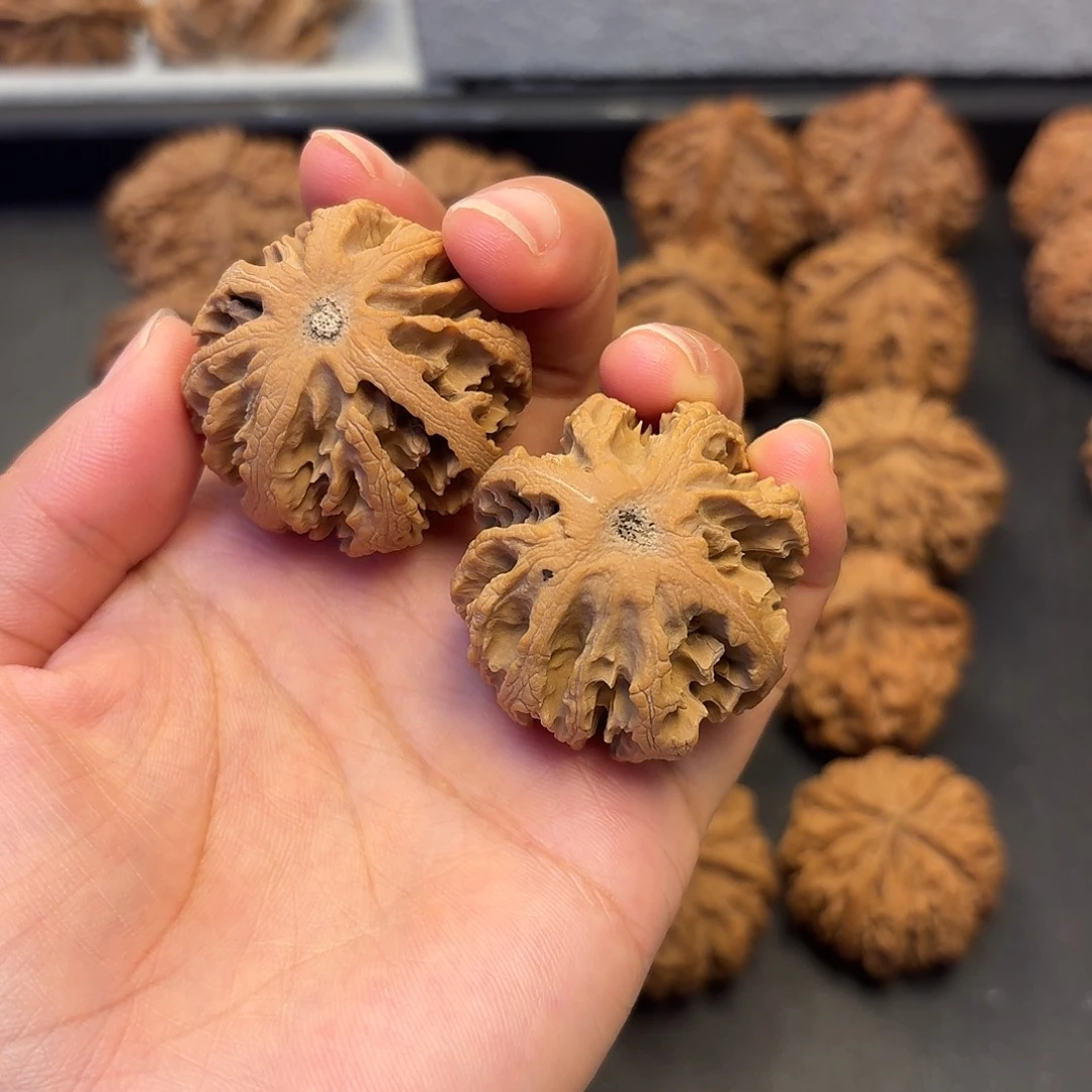 目***天核桃突突突突突突突突突突突突突突