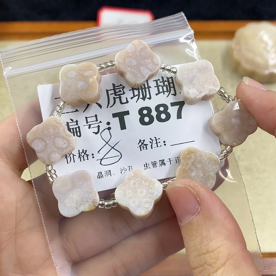 硅化珊瑚（珊瑚玉）1未镶嵌