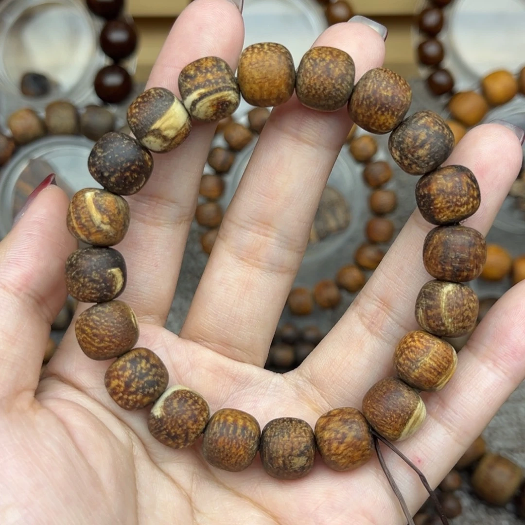 贡木印尼1/1.1龙鳞妖花