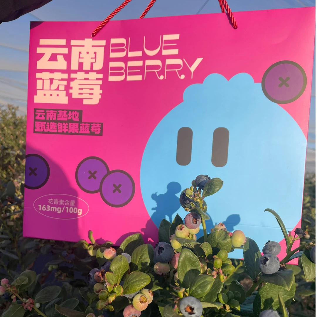 【M25霸王莓礼盒装】云南花香澄江抚仙湖露天仙莓蓝莓脆甜爆汁花香