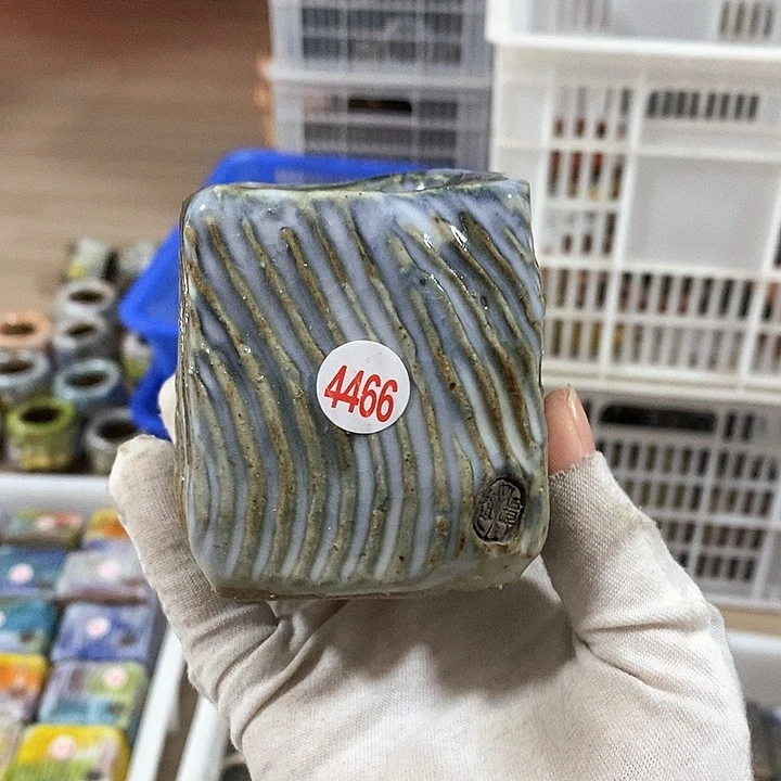 红陶?****?拍5送一个小