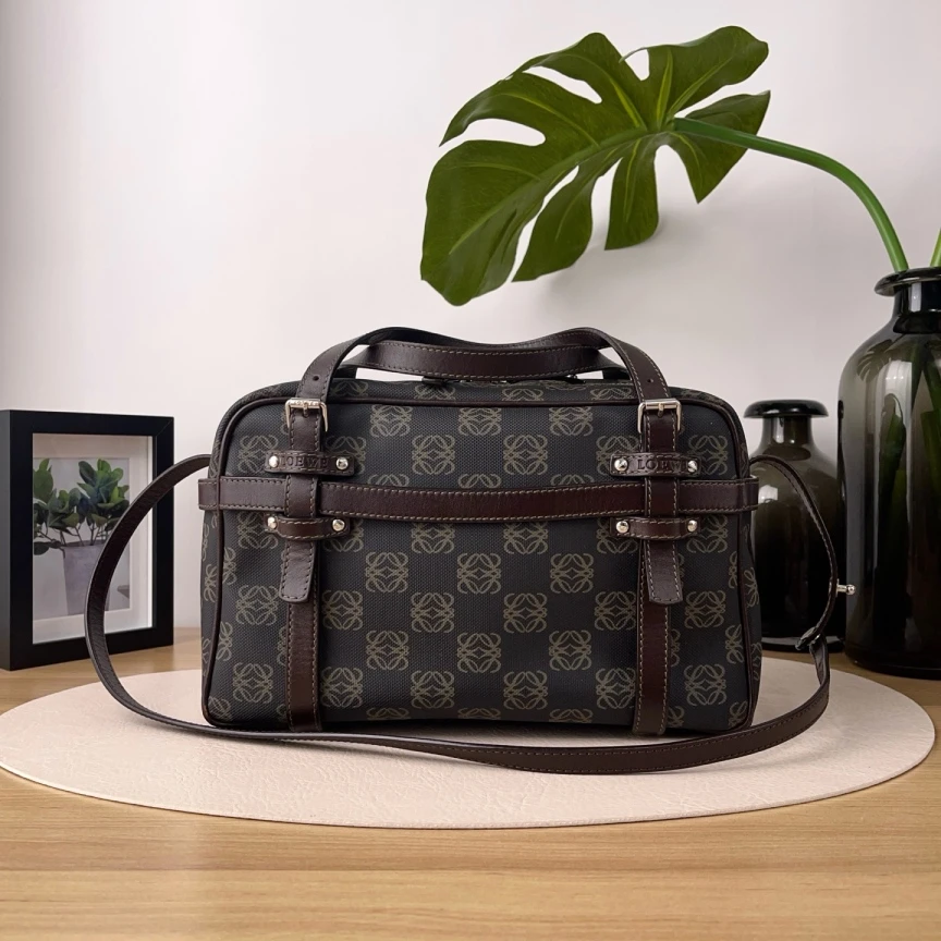 95新 LOEWE/罗意威 棕色老花满印单肩包/4580
