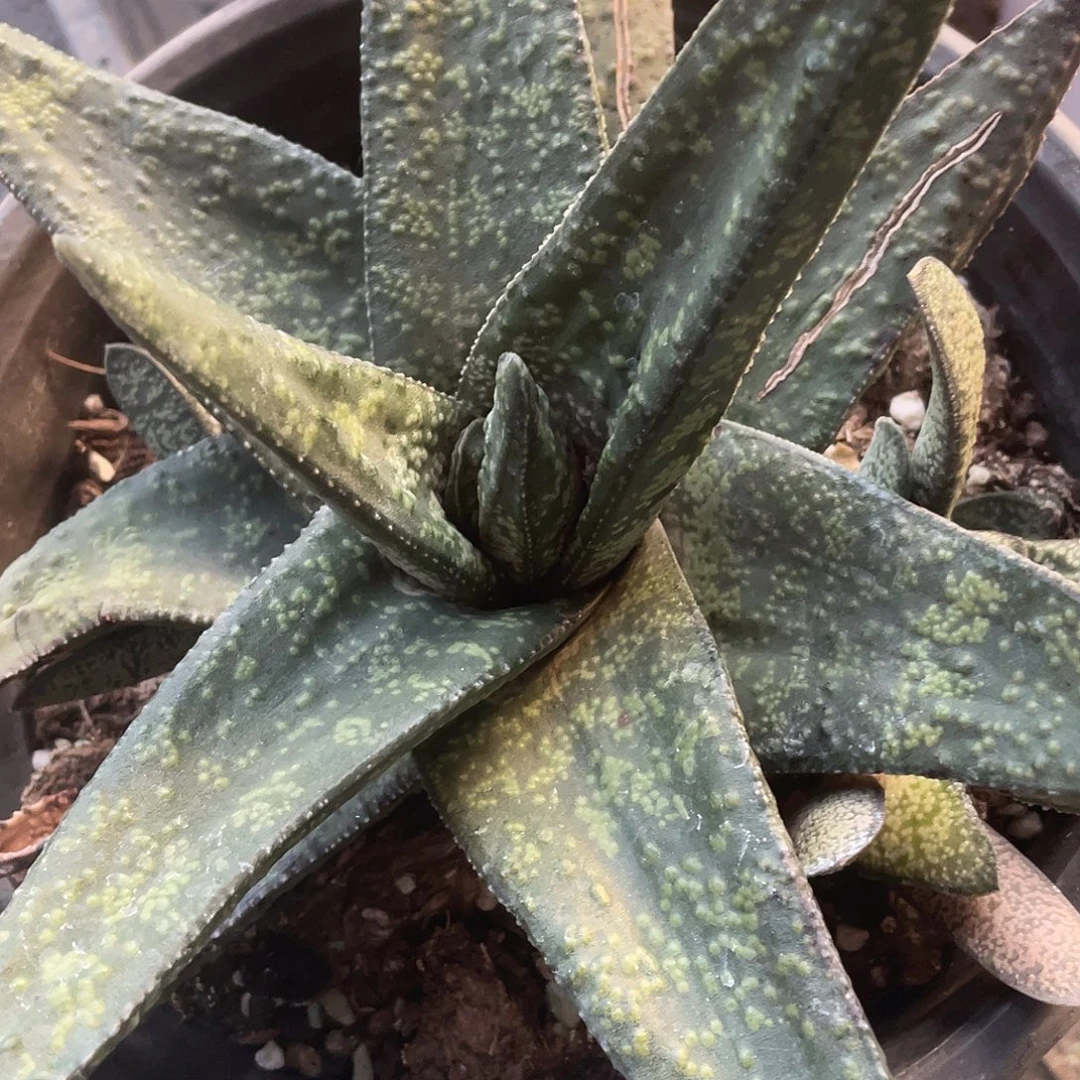 娟***娟娟娟拍11111111111