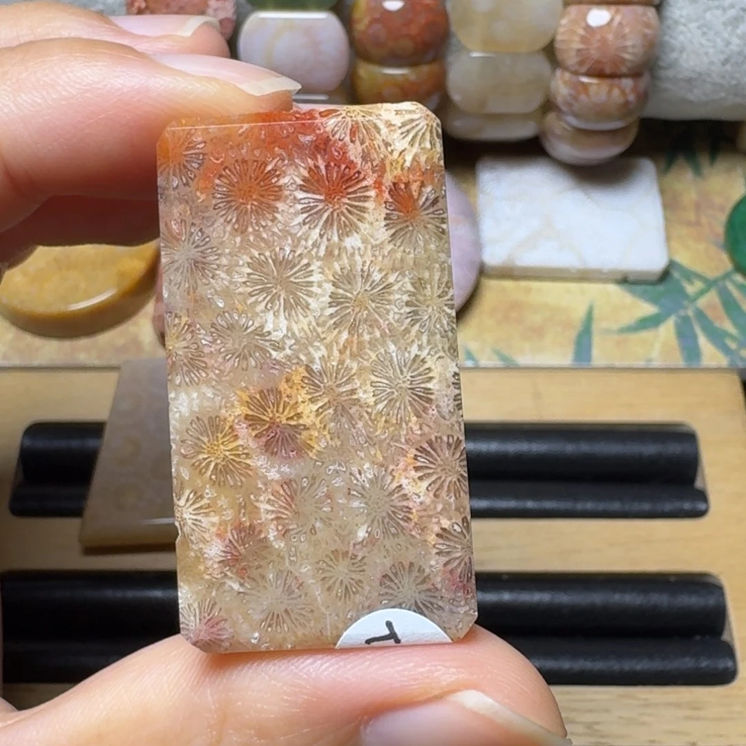 硅化玉秋枫美景，玉透骨骼花好盘 纹裂特价未镶嵌