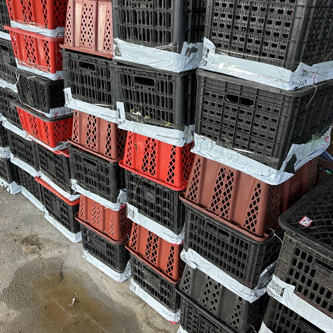 出壳异色大大出壳框