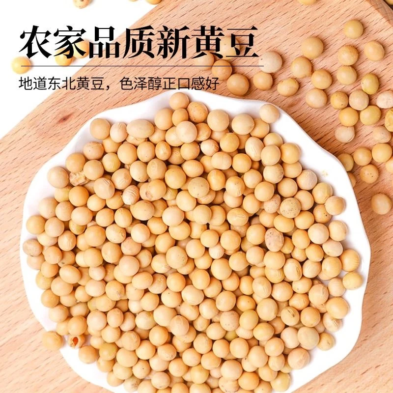 精选农产黄豆500克