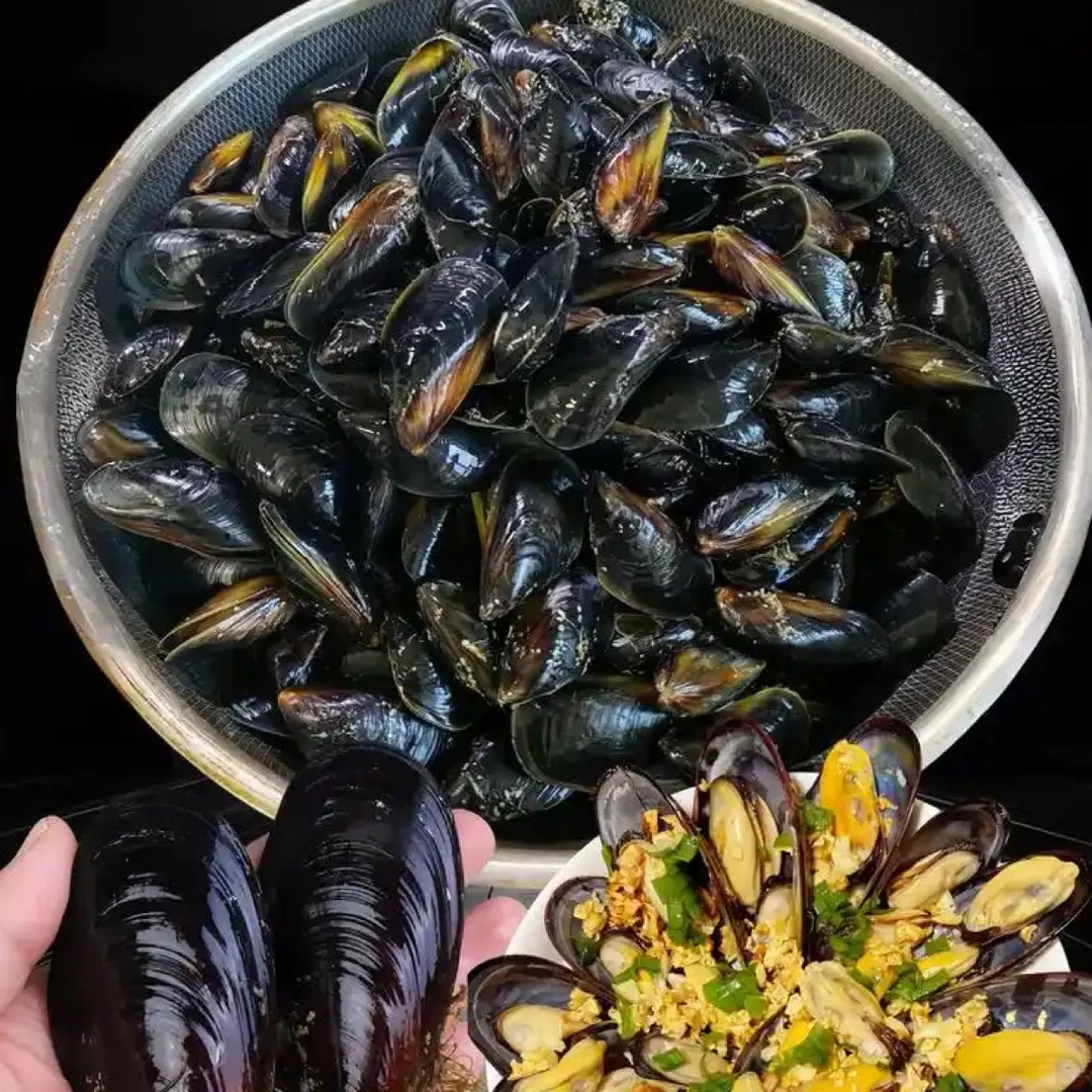 冻海虹三斤装一份