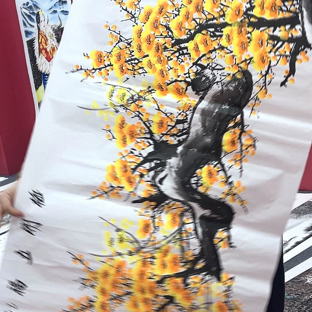 横款惊喜不断早上好来了