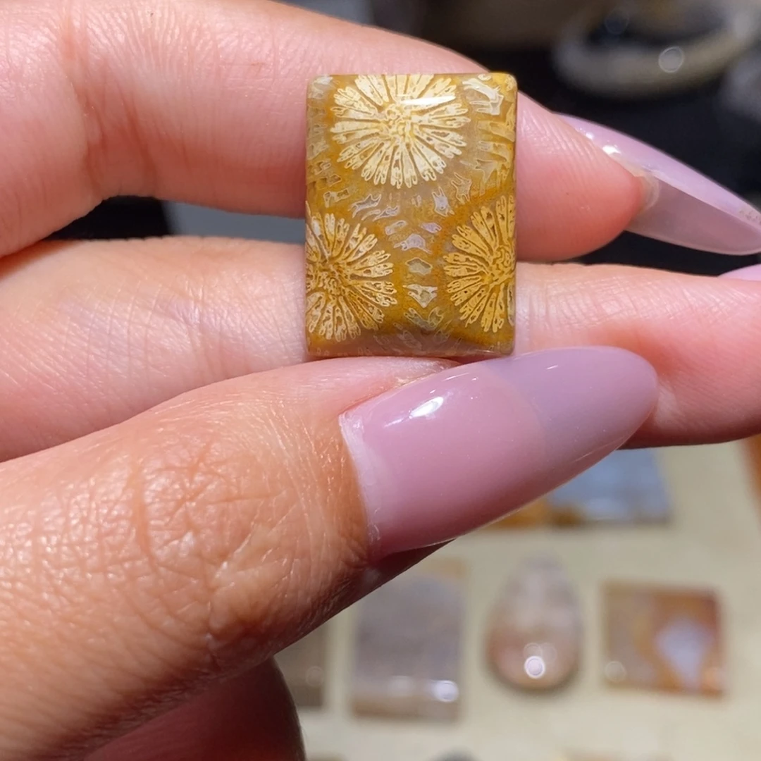 【闪购商品】硅化玉珊瑚玉未镶嵌