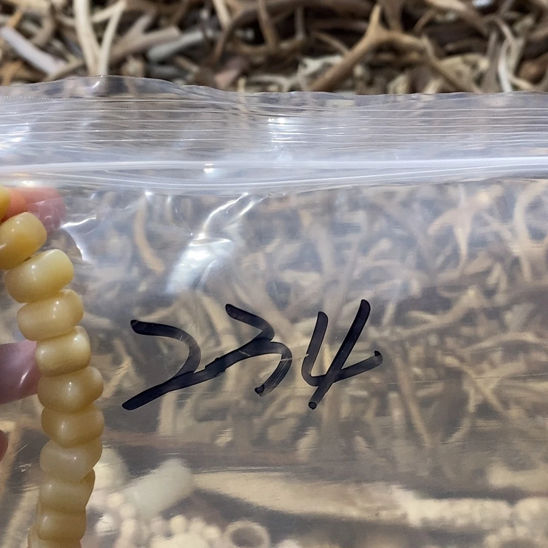 雪***梨非金属鹿哥鹿骨鹿骨