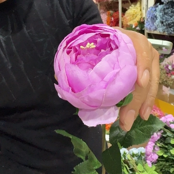 单只大头牡丹紫色20支