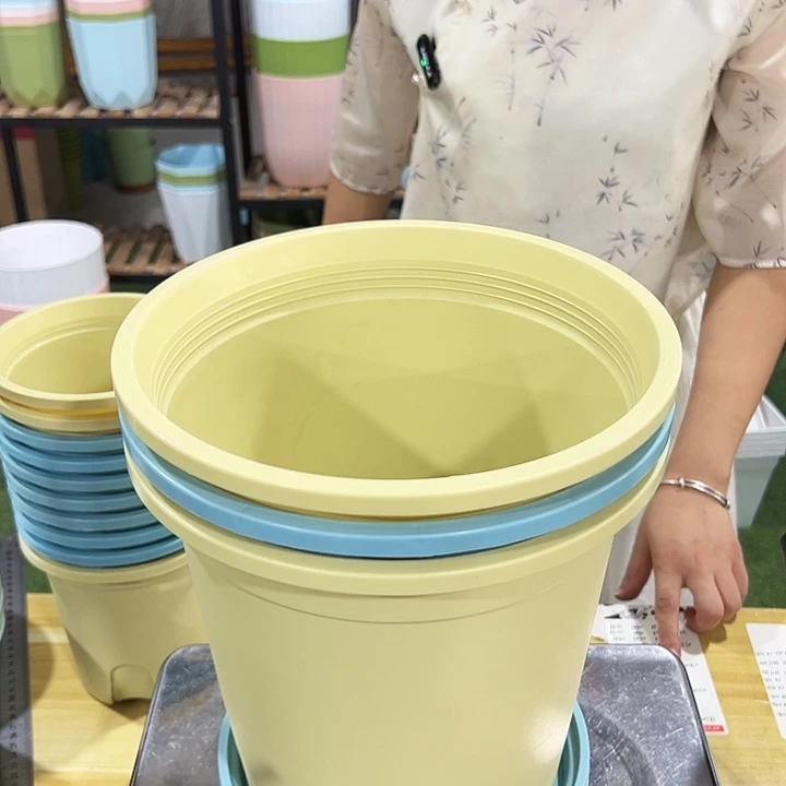 圆形控根口24高24混色3个带托