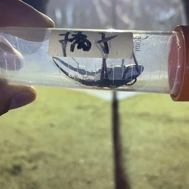 干活v干活哈哈就会后悔