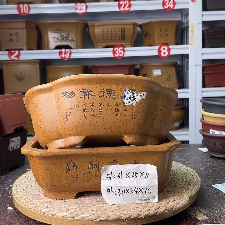 紫砂花盆蛇年大吉