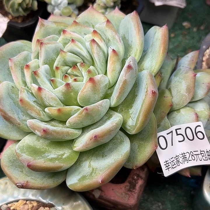 幸运的是我还没遇到