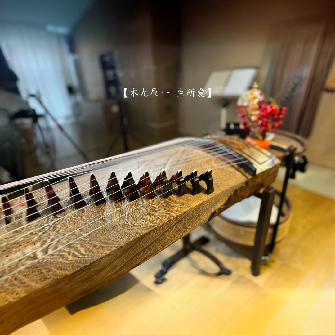 木九辰一生所爱古筝（定做金）演奏筝 收藏筝