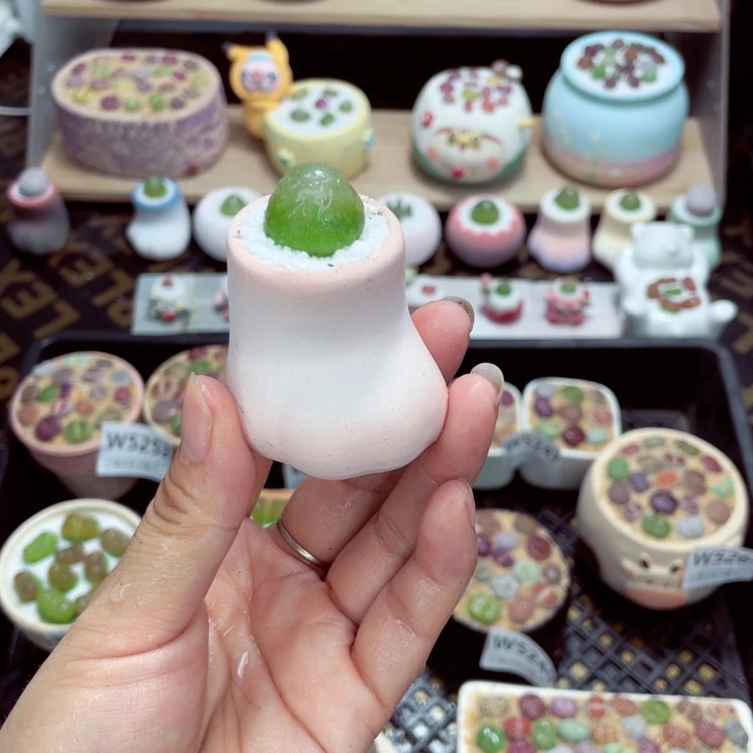 柔****w5266 开播福利 带盆土发货一物一拍