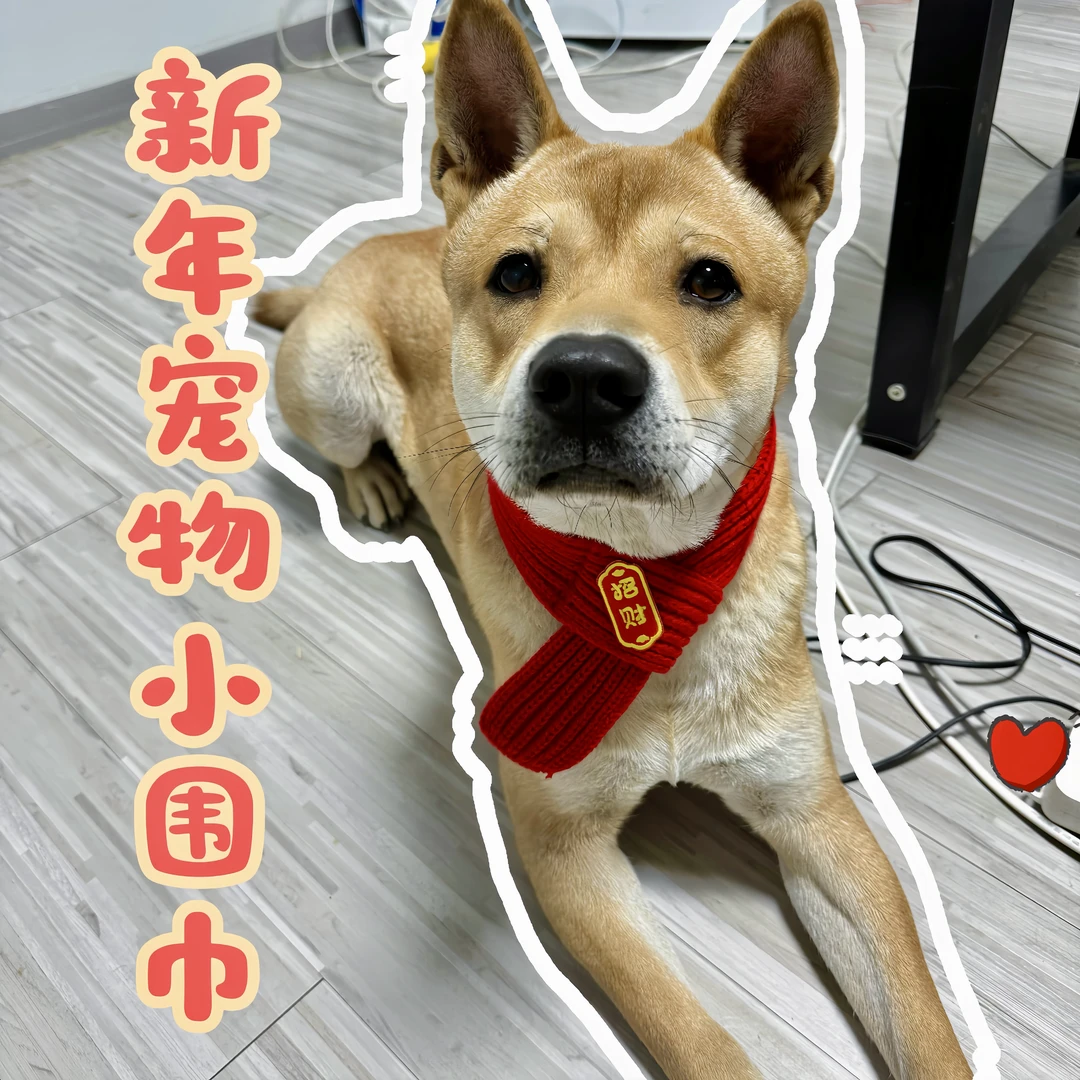 猫咪围脖小狗可爱新品毛线宠物围巾围兜狗狗保暖配饰红色喜庆新年