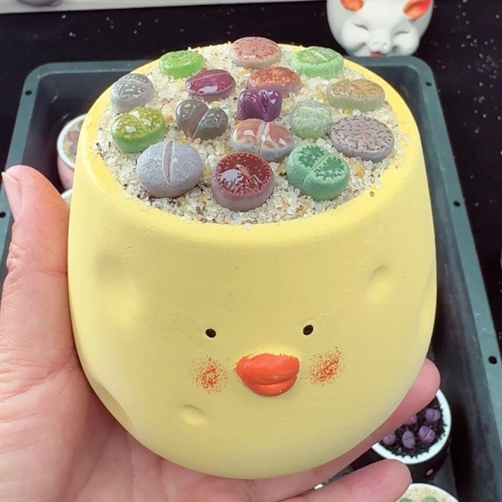 374凑满18包邮零下地区记得拍保温箱