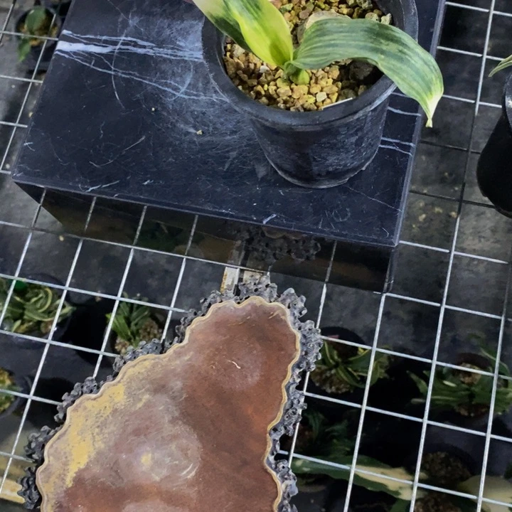 红陶闲***乐s j b d b b z