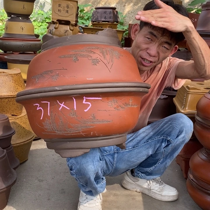 花盆紫砂这个世界上最好的朋友